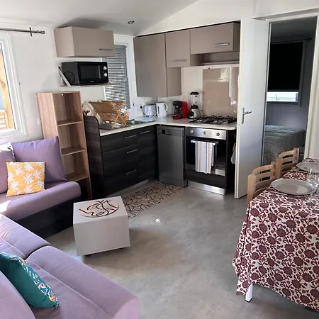Mobil-home Elite 4-6 Pers - La Carabasse דירה ויאס